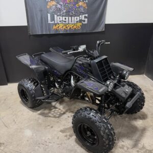 2006 yamaha banshee , yamaha banshee for sale , llegue's motorsports